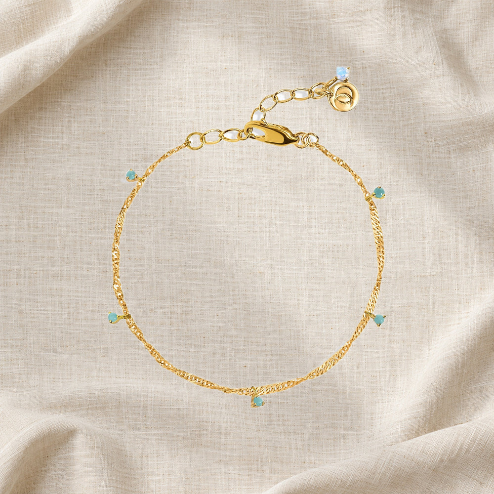 Silver anklet clasp and link detail