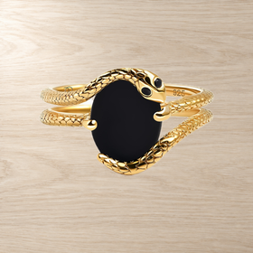 Coiled Black Onyx Ring — Willpower — Modern Energy Lab product view