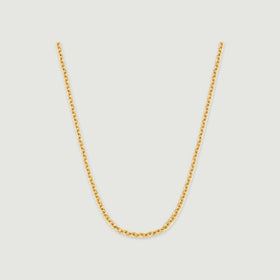 A yellow gold chain is centered in a U-shaped arrangement with a soft shadow.