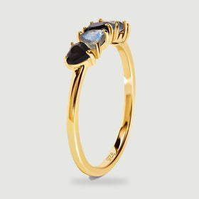 The yellow gold vermeil ring is shown upright with its curved band and individual stone settings visible.
