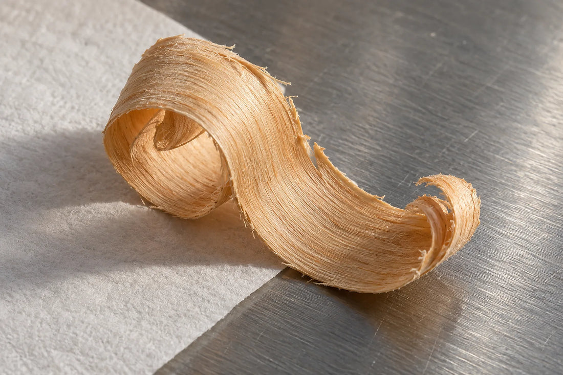Natural window light illuminates one curled pale sandalwood shaving with visible wood fibers.