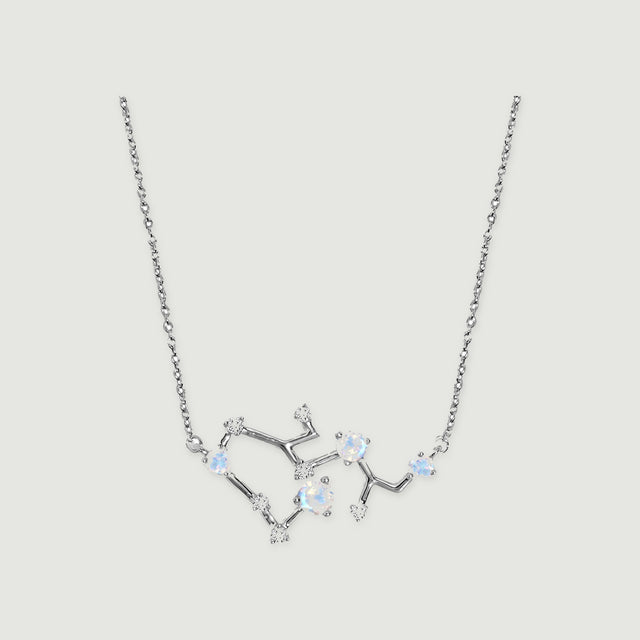 A silver necklace with a fine link chain and an open branching pendant rests against a light gray background.
