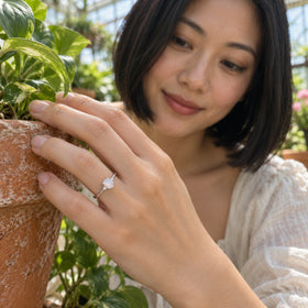 A white gold moonstone ring is shown on a hand touching a terracotta pot among greenhouse plants.