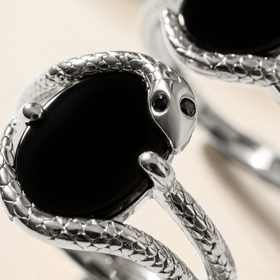 Serpent Black Onyx & Diamond Ring — Strength — Modern Energy Lab product view