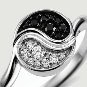 The silver toned curved divider separates clusters of black and clear stones in a close view.